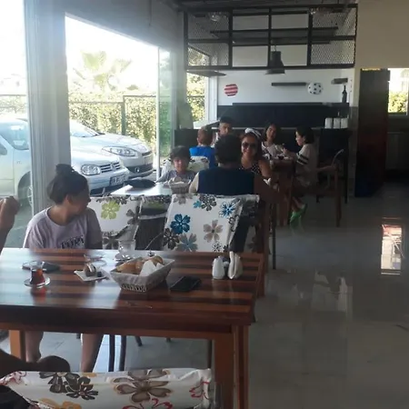Oyster Boutique Homestay *